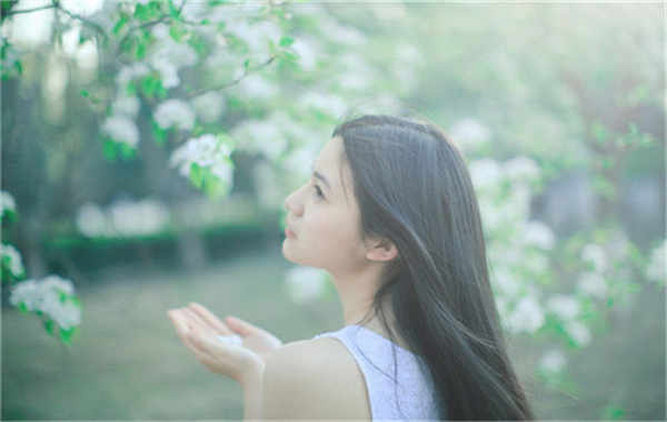 港口镇验血查男女几周可以验(验血查男女结果图)
